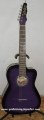 Guitarra Rockera modelo CGE 11